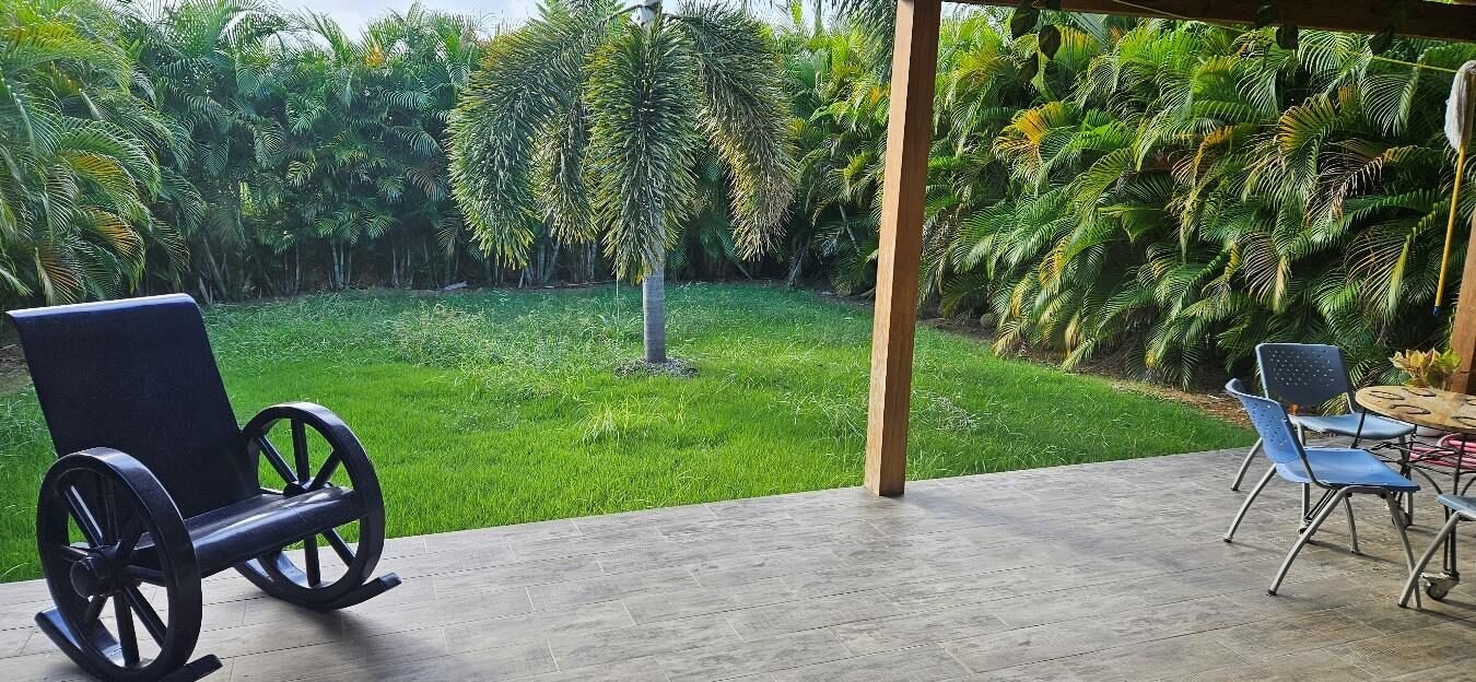 Patio trasero